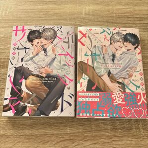 サディスティックオープンマインド 2冊セット