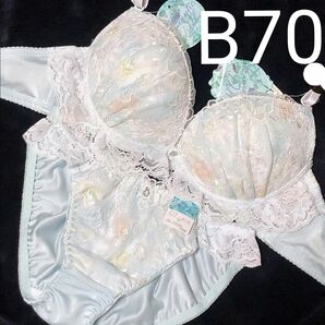 B70 フリル水彩シアーブルームブラジャー&フルバックショーツ 刺繍 豪華 花柄 C70 変更可