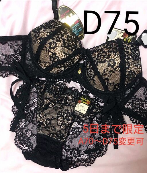 短期出品 D75 ヌーディーレース育乳脇高ブラジャー&サイド紐バック透けフルバックショーツ 盛れる 豪華 エロカワ