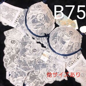 短期出品 B75 ミスティーローズレース育乳脇高ブラジャー&バック透けフルバックショーツ 豪華 刺繍 エロカワ 盛りブラ 盛れる