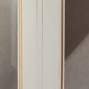 新品 微塗工紙 天のり綴じ 50枚 水彩、マーカー 、万年筆、色鉛筆と好相性 シーンインクでレッドフラッシュ出しやすい!