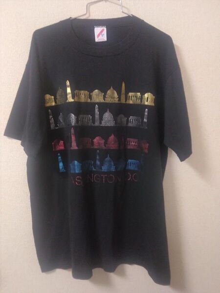 90s jeerzees シングルステッチ Tシャツ ラメプリント スーベニア系 screen stars hanes lee