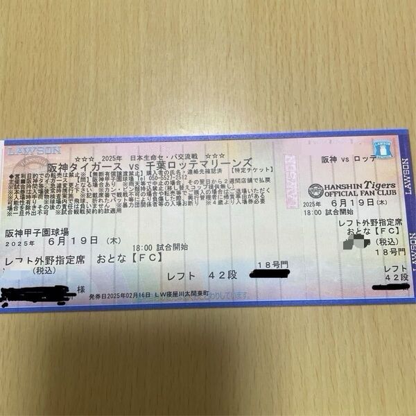 阪神タイガースvs千葉ロッテマリーンズ 観戦チケット 甲子園 レフト