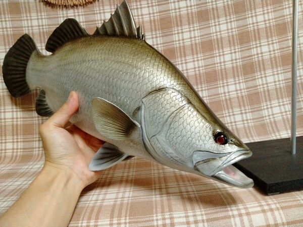 ハンドメイド 50cmアカメ フィギュア レプリカ オブジェ 魚模型 置物 怪魚釣り