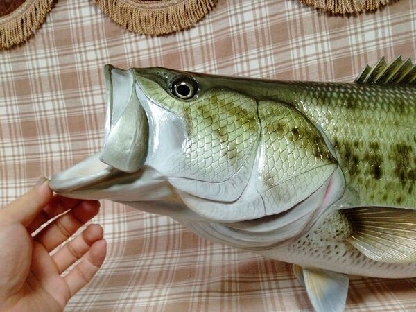 ハンドメイド 62cmブラックバス壁掛け フィギュア レプリカ オブジェ 魚模型 釣り fish craft REAL