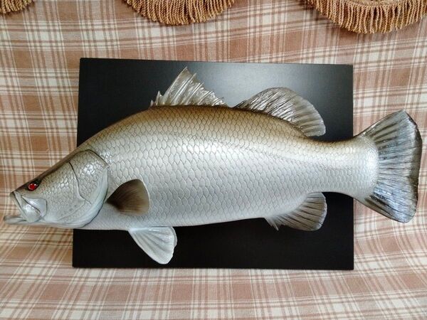 ハンドメイド 50cmアカメ 壁掛け レプリカ フィギュア オブジェ置物 怪魚釣り fish craft REAL