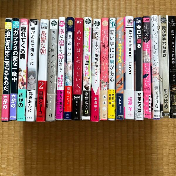 BL マンガ 20冊まとめ