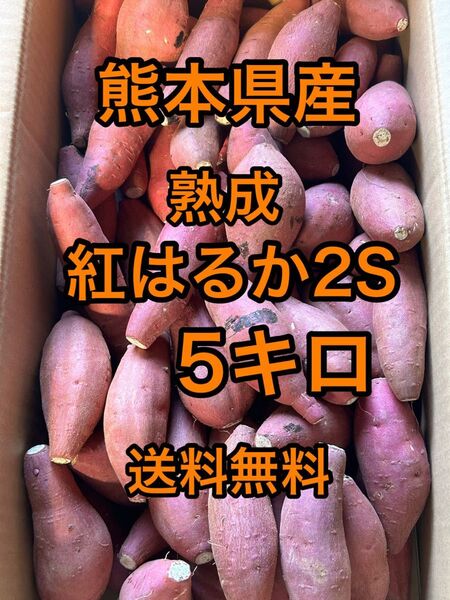 熊本県産 熟成紅はるかA品 箱込5キロ 2Sサイズ