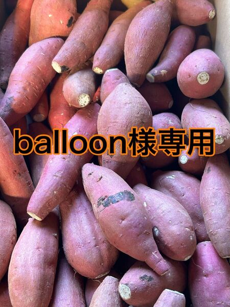 熊本県産 熟成紅はるかA品 箱込10キロ 2Sサイズ