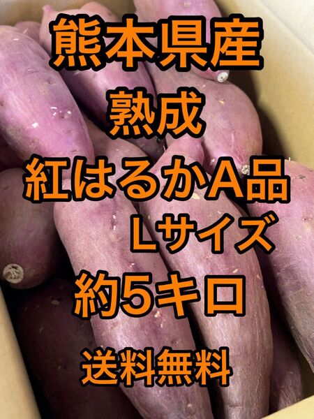 熊本県産 熟成紅はるかA品 箱込5キロ Lサイズ