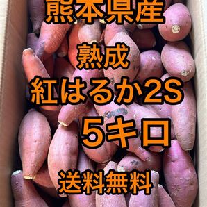 熊本県産 熟成紅はるかA品 箱込5キロ 2Sサイズ