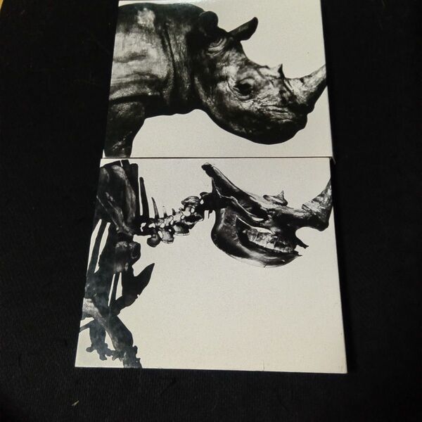 Mr.Children 1992-1995/1996-2000