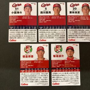 2023/2024 野球チップス 広島東洋カープ 5枚セット