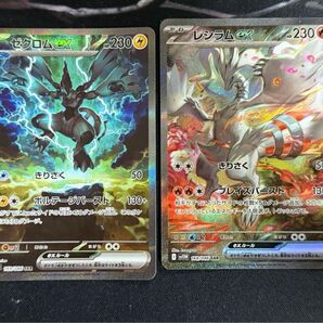 ポケモンカード ゼクロムex レシラムex sar