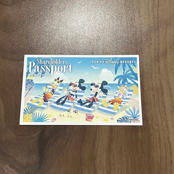 東京ディズニーリゾート パスポート 入園済み