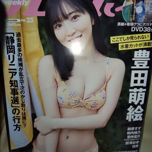 週刊プレイボーイ 2024年6月3日号 (集英社)豊田萌絵 DVD付