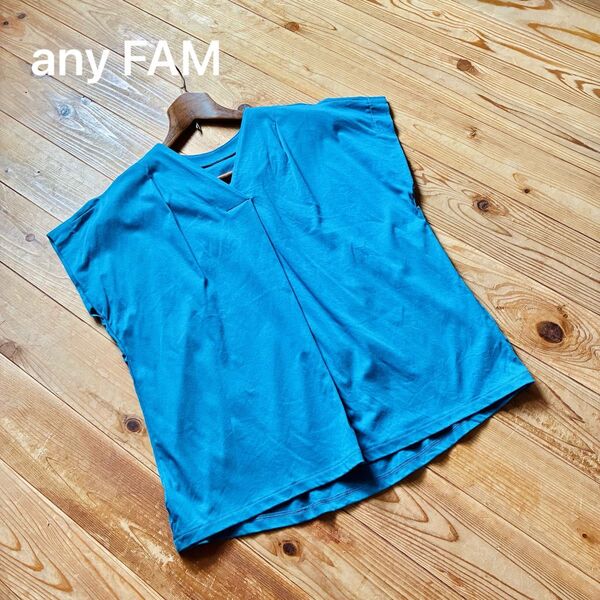 any FAM エニィファム Vネックカットソー プルオーバーブラウス トップス