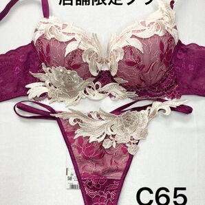 新品 ワコール サルート 店舗限定ブラ 94G C65 ソングM WI