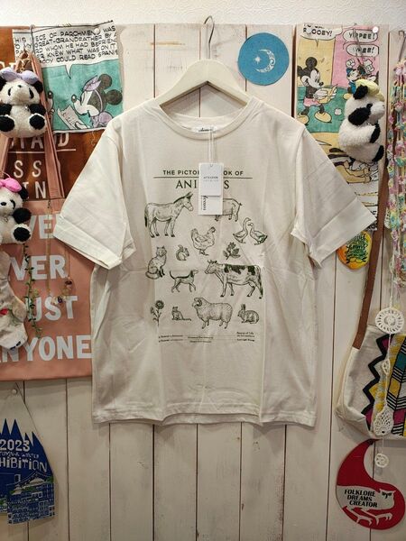 gleam(^o^)お仕入れ価格