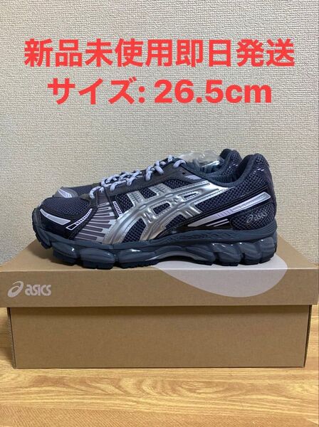 KITH Ronnie Fieg × Asics Gel-Kayano 12.1 "Tornado/Pure Silver"