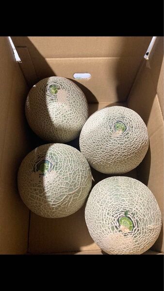 クインシーメロン1箱 4〜5kg