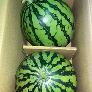 すいか 熊本産 スイカ MS 8kg 2玉