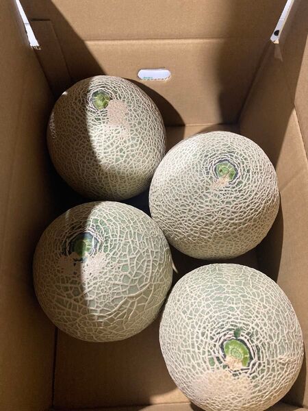 クインシーメロン 熊本 4kg