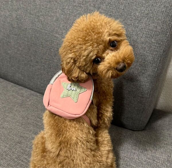 バッグ付きハーネス ピンク 犬 猫 リード ピンク ペット お出かけ リュック付バッグ ペットグッズ 小型犬 かわいい お出かけ