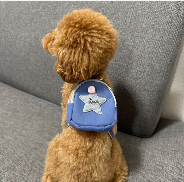 バッグ付きハーネス ブルー 犬 猫 リード ピンク ペット お出かけ リュック付バッグ ペットグッズ 小型犬 かわいい お出かけ