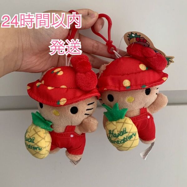 パイナップル 日焼け パイン ハローキティ キーホルダー ドール ハワイ