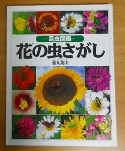 花の虫さがし　昆虫図鑑　みぢかなかがく　藤丸 篤夫