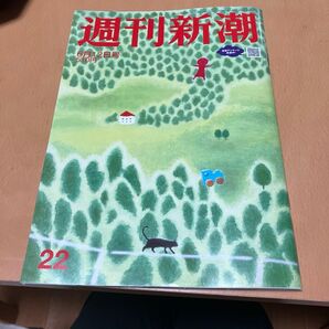 週刊新潮 2025年6月12日号 (新潮社)