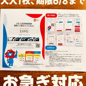 即日対応 大阪 万博 通期パス割引コード 大人1枚 EXPO2025 お急ぎの場合、先に相談対応可能