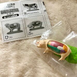 なかみまるみえフィギュア ぶた ガチャガチャ カプセルトイ