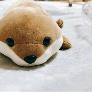 江ノ島水族館 カワウソのぬいぐるみ