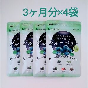 約12ヶ月分 ブルーベリー サプリメント シードコムス