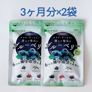 約6ヶ月分 ブルーベリー サプリメント シードコムス