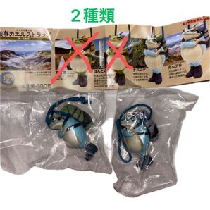 無事カエルストラップ アースカラー 2種類(チズゴケ、カルデラ)