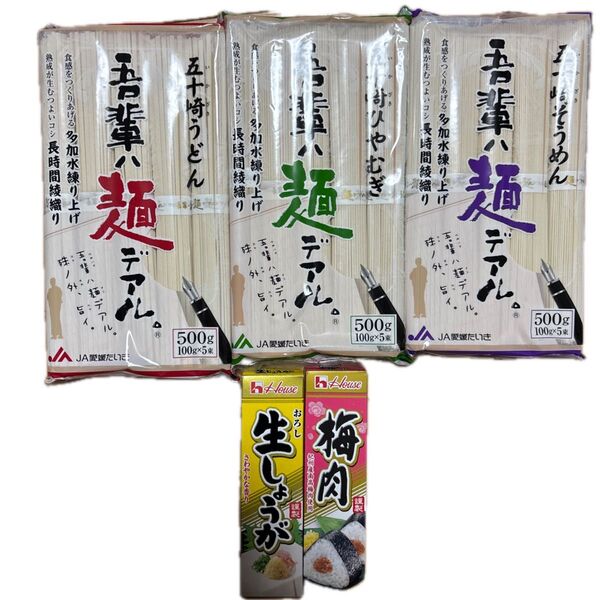 JA愛媛たいき 吾輩麺 他 乾麺3袋(うどん、ひやむぎ、そうめん)と調味料2個(しょうが、梅肉)セット 5点セット