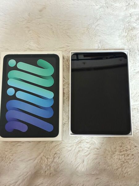 超美品 iPad mini 第7世代 Wi-Fi 128GB スペースグレイ