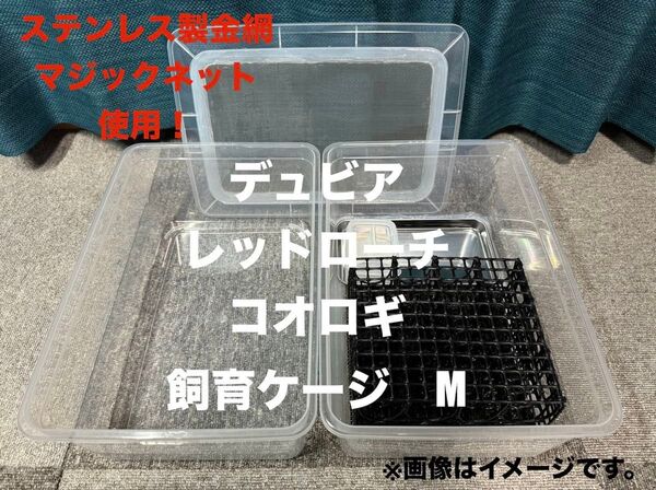 爬虫類 両生類 餌 デュビア レッドローチ コオロギ 飼育ケージ 飼育ケース M