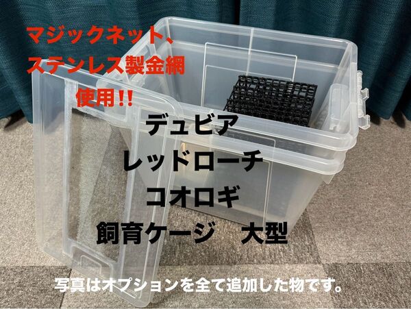 爬虫類 両生類 餌 デュビア レッドローチ コオロギ 飼育ケージ 飼育ケース L