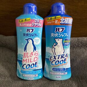 【新品未開封】花王 バブ 爽快シャワー エクストラクール&マイルドクール 2個セット