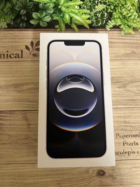 新品 未開封 Apple iPhone16e ホワイト SIMフリー 128GB 24時間以内発送可能