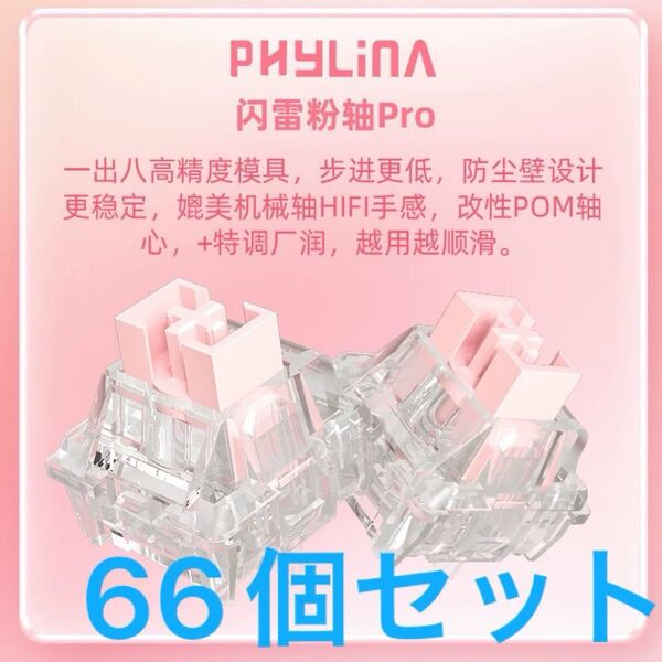 Phylina Pink Lightning Pro Switch 66個セット