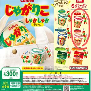 カルビー じゃがりこ しゃかしゃかチャーム 2種 チーズ たらこバター