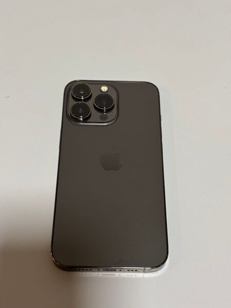 iPhone13pro 256GB SIMフリー