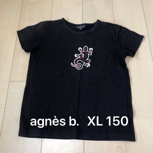 agns b. アニエスベー 黒 トカゲプリント Tシャツ XL キッズ 150 ブラック 定番 リザード