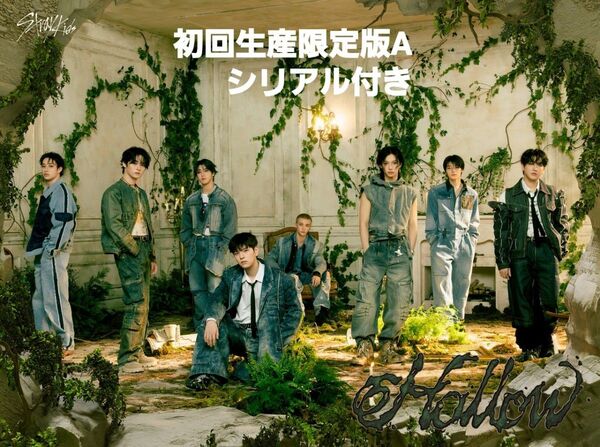 シリアル付き stray kids スキズ Hollow 初回生産限定版A