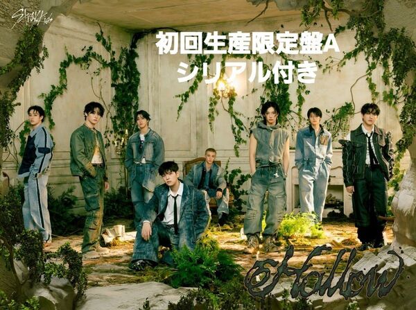 シリアル付き stray kids スキズ Hollow 初回生産限定盤A